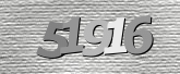 صورة التحقق