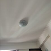 M0000325