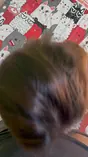 Watch Tatamira's CEBU teenie saga in 2024 CEBU teenie scandal