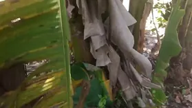 Saanthi2 and Vetrivel get super-naughty in a banana grove with their huge jizz-shotguns