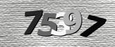 Captcha resmi
